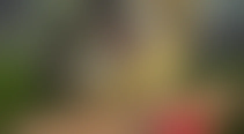 Динозавры живы! 3D