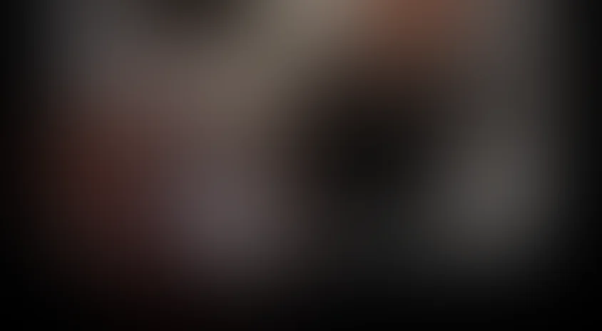 Саквояж со светлым будущим