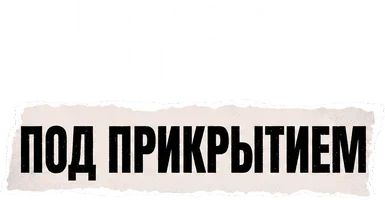 Шеф под прикрытием