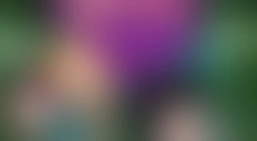 Школа вампиров