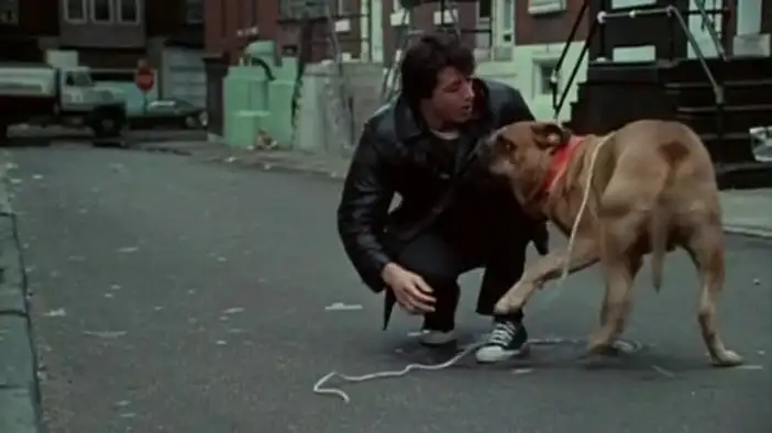 ТВ-ролик 3 (английский язык)