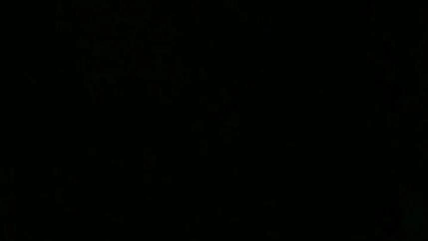 Парфюмер: История одного убийцы