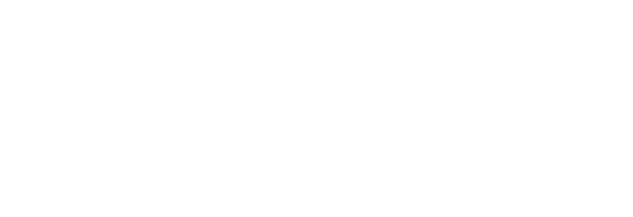 Тайный аудит