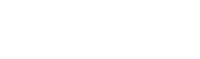 Любовь и пингвины