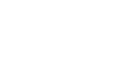 Топ Дог