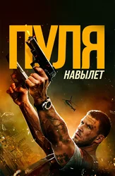 Пуля навылет