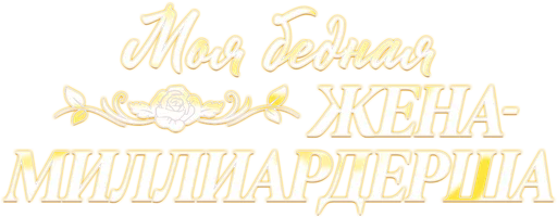 Моя бедная жена-миллиардерша