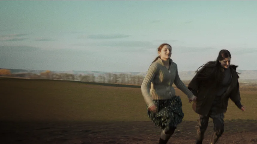 Клетка ищет птицу