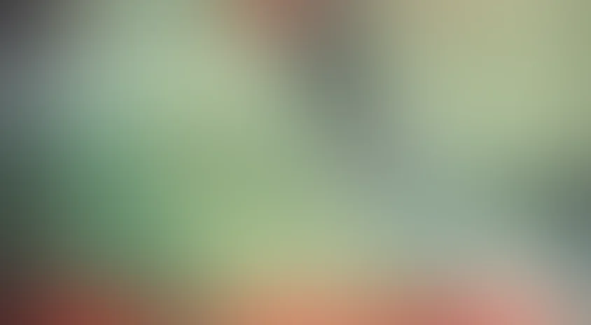 Убить президента. Покушение на Ричарда Никсона