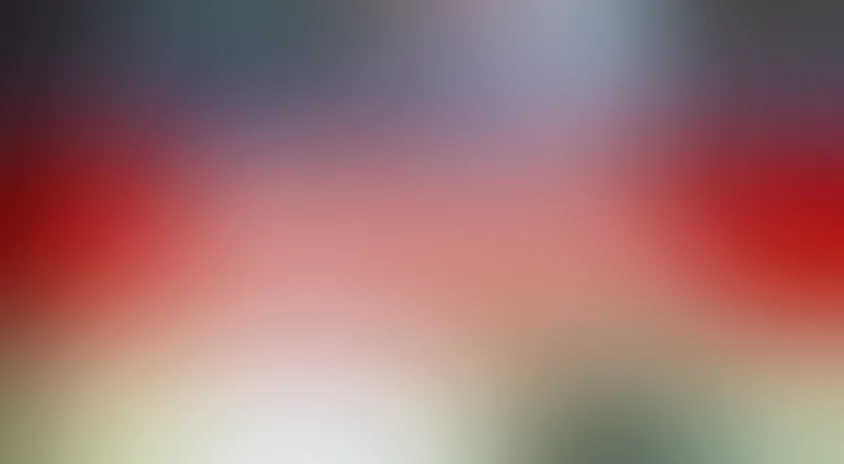 Дед Мороз и Серый волк