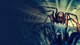 Паучий рейс