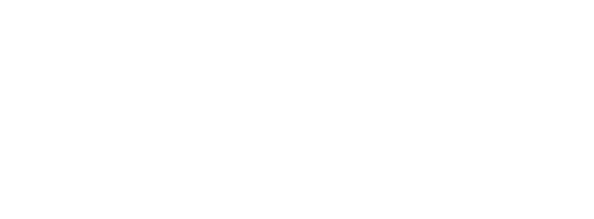 Пассажирка (Фильм, 2008)