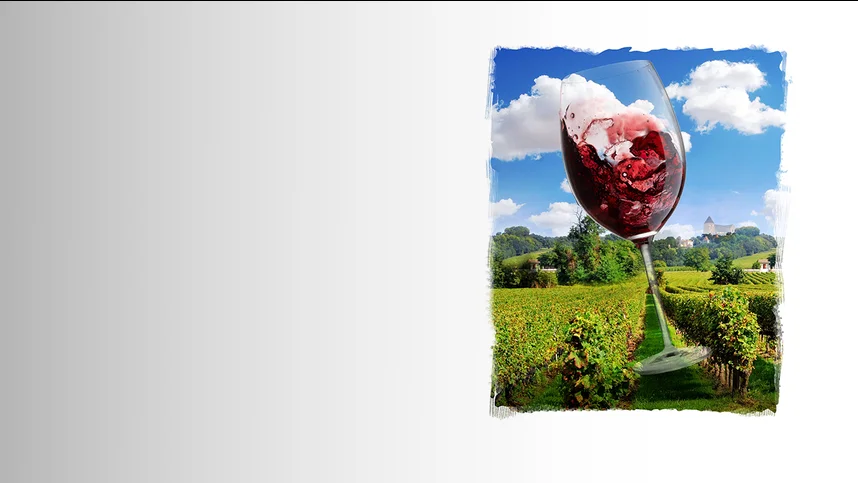 Возвращение в Бургундию