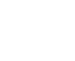 Что мы говорим, что мы делаем (Фильм, 2020)