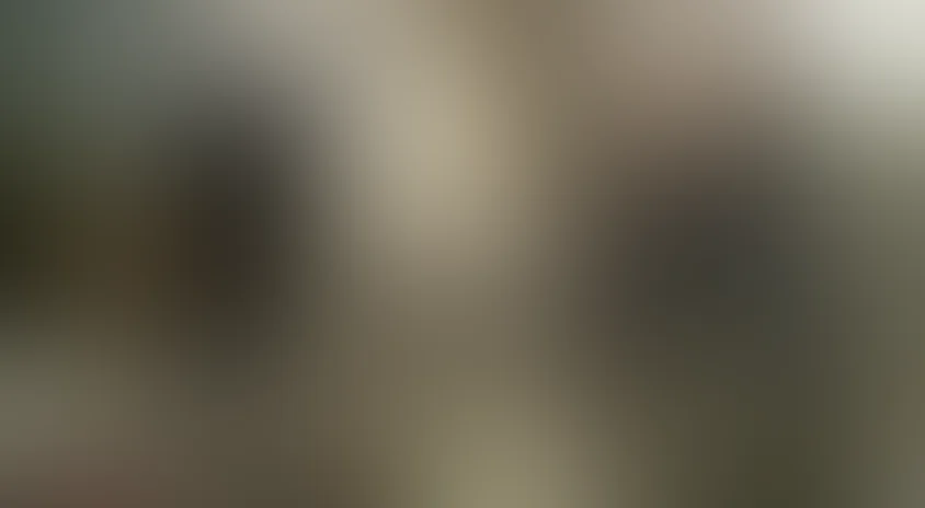 Стервозные штучки