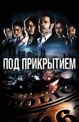 Под прикрытием (2013)