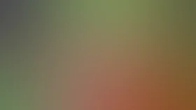 Когда зажигаются елки