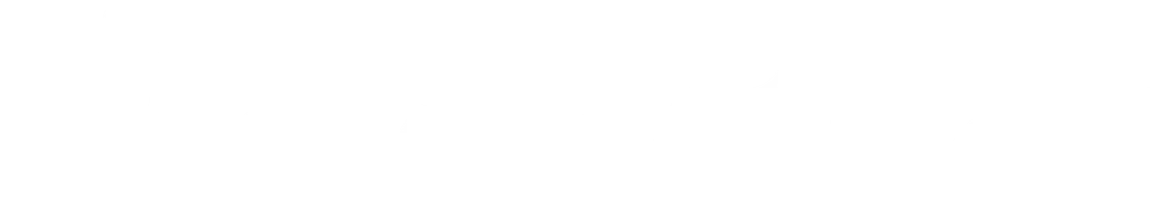 Шахматист