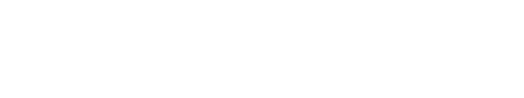 Шахматист (Фильм, 2019)