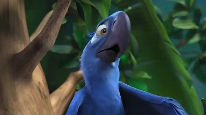 Фрагмент 2 (английский язык)