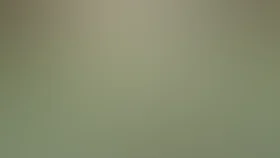 Особенности национальной маршрутки