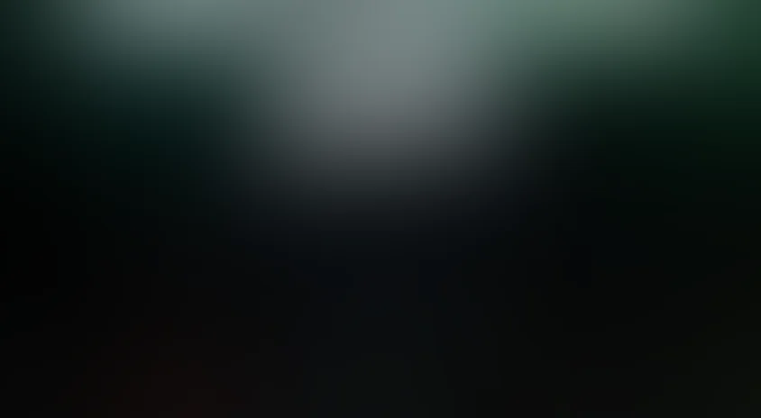 Идеальные дни