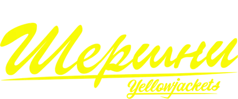 Сериал Шершни (2021)