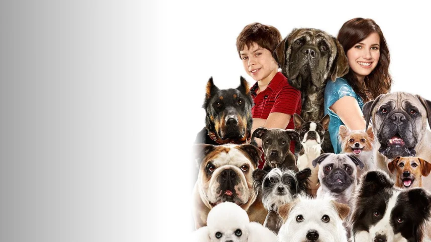 Отель для собак