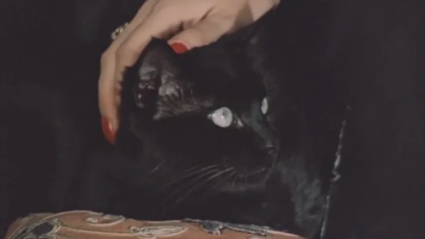 Место встречи изменить нельзя