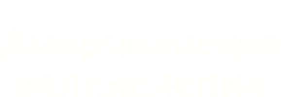 Американское великолепие (фильм 2003)