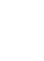 Самая быстрая женщина на Земле