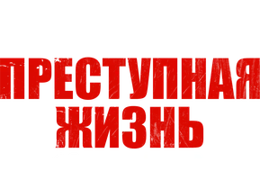 Преступная жизнь: 1984-2020 (2021)