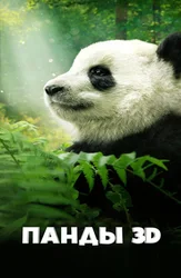 Pandalar