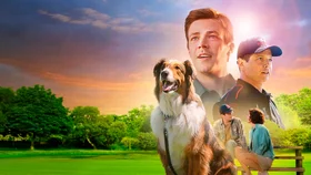 Rubi, qutqaruvchi it