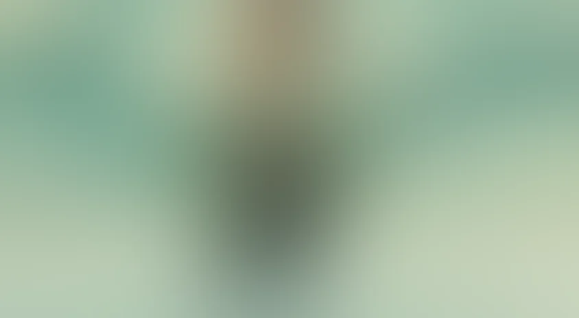 Падал прошлогодний снег