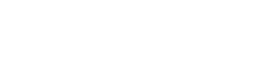 Наследница под прикрытием