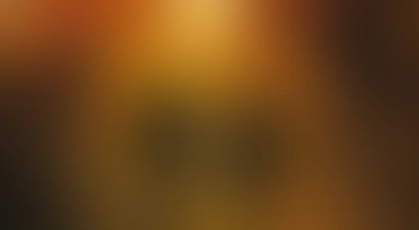 Лучшая жизнь