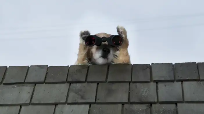 Трейлер (дублированный)