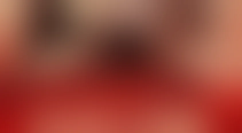 На пути в Берлин