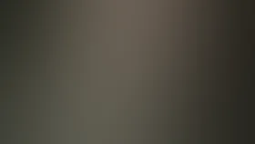 Скандальное происшествие в Брикмилле