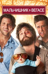 Mobil telefonning mushukchasi ichidagi mini kamera