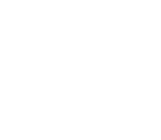 14+ (Фильм, 2015)