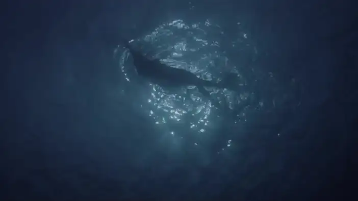 Тизер (английский язык)