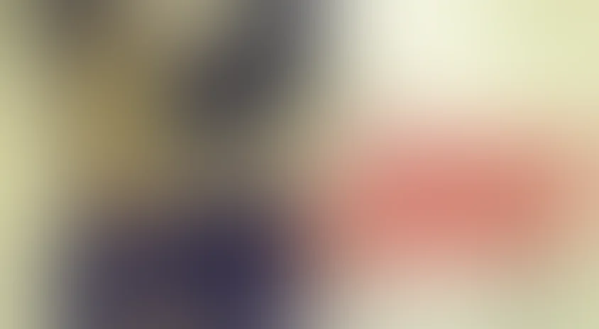 Красный штат