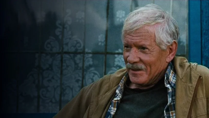 На спине у черного кота