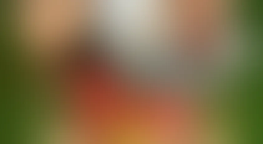 Тухачевский: Заговор маршала