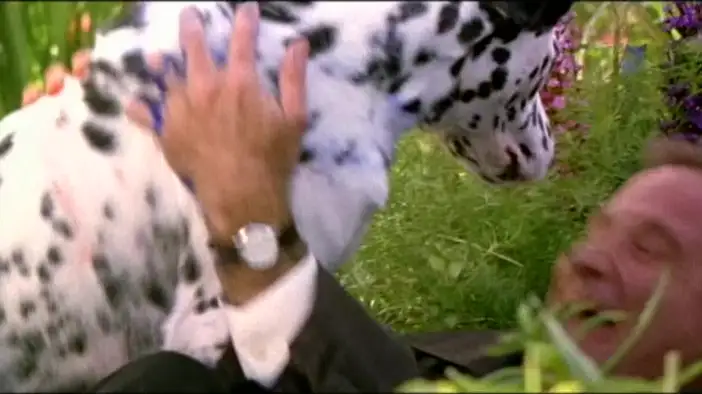 Трейлер (английский язык)