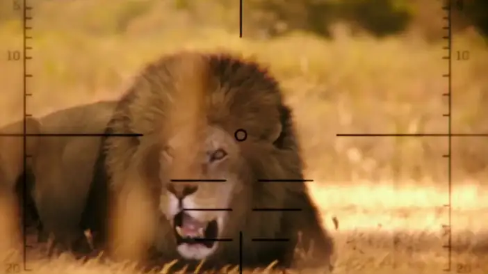 Трейлер (дублированный)