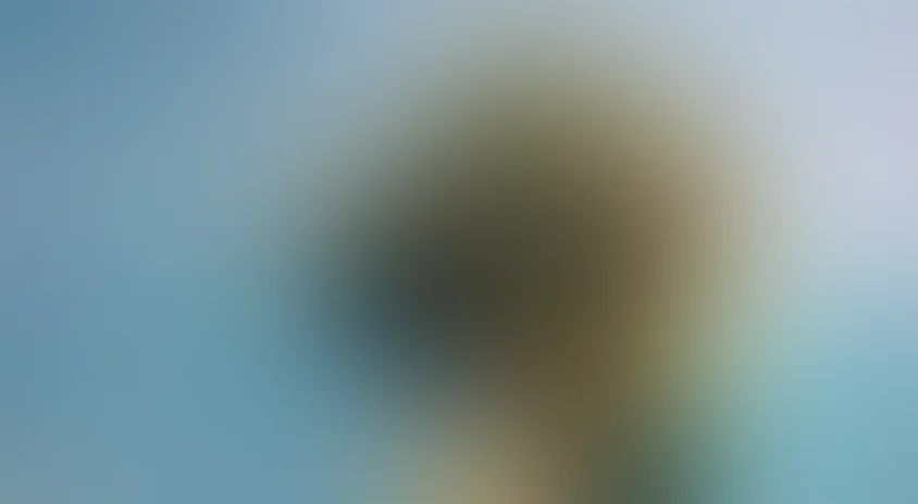 Пластилиновая ворона