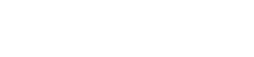 Лётчицы
